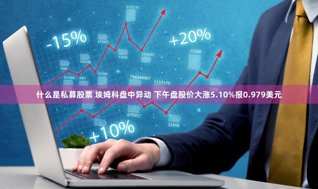 什么是私募股票 埃姆科盘中异动 下午盘股价大涨5.10%报0.979美元